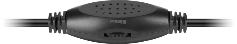Defender - 2.0-Lautsprechersystem SPK 120