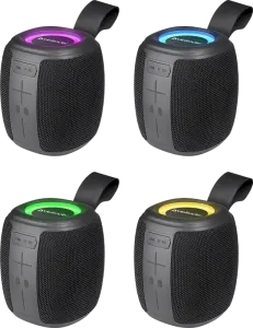 Defender - Tragbares Lautsprechersystem Enjoy S550